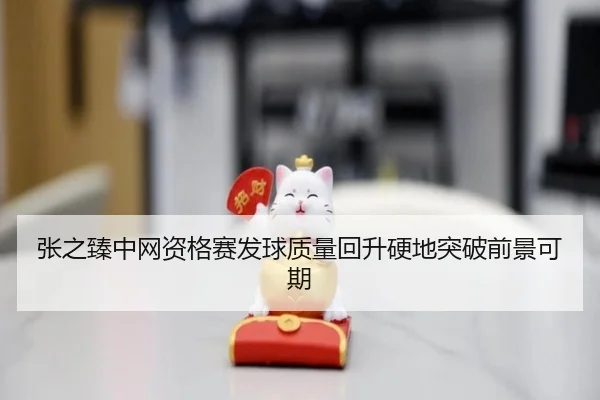 张之臻中网资格赛发球质量回升硬地突破前景可期